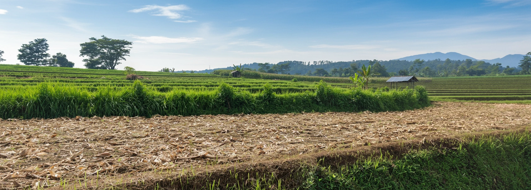 Data Spasial dan Pemetaan Lahan Pertanian